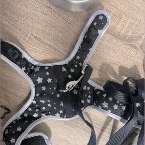 Starry Black Cat Harness / Leash